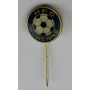 Pin 1. HFC Humenné (SVK)