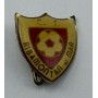 Pin Ribamontán al Mar CF (ESP)