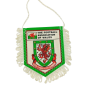 Wimpel Wales, Verband Football Association of Wales