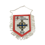 Wimpel Nordirland, Verband Irish Football Association