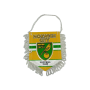 Wimpel Norwich City (ENG)