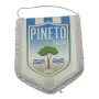Wimpel Pineto Calcio (ITA)