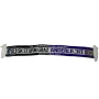 Schal Sturm Graz - RSC Anderlecht, 2011
