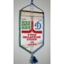 copy of Museum Wimpel Rapid Wien - Dinamo Kiev, 1986