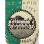 Wimpel Rapid Wien, Meister & Cupsieger 1968