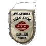 Wimpel Avusturya Türk Birliği
