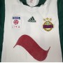 Trikot Rapid Wien (AUT), Medium, WALLNER 10