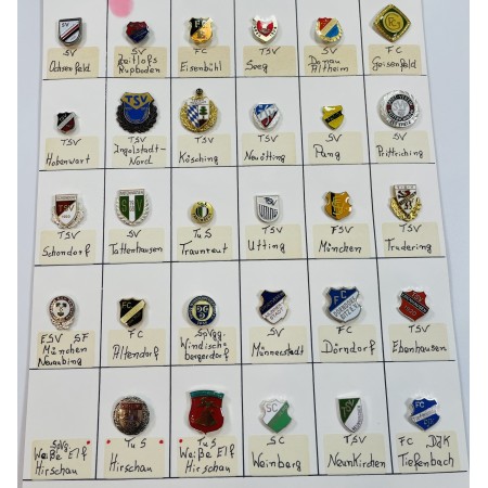 Pinkonvolut/Pinsammlung Deutschland, 29 Stück (IV)