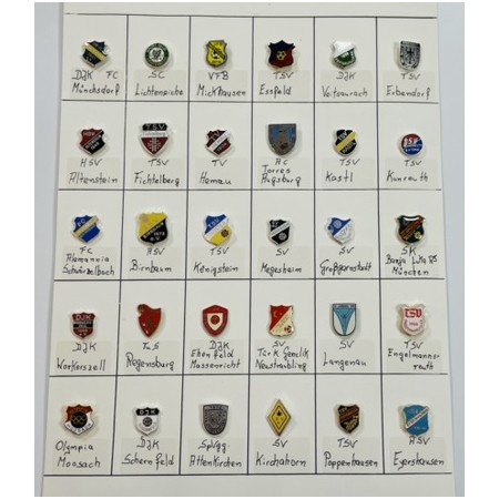 Pinkonvolut/Pinsammlung Deutschland, 30 Stück (V)