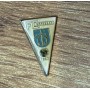Pin FC Gravesand (GER)