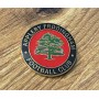 Pin Appleby Frodingham FC (ENG)