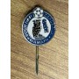 Pin SD Manojo (ESP)