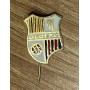 Pin Olot FC (ESP)