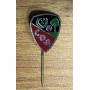 Pin CD Alunados (ESP)