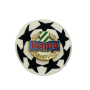 Pin Rapid Wien & Aufnäher Champions League