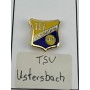 Pin TSV Ustersbach (GER)