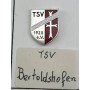 Pin TSV-Bertoldshofen (GER)
