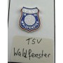 Pin TSV Waldfenster (GER)