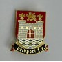 Pin Bridport FC (ENG)
