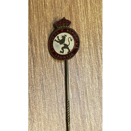 Pin Cultural y Deportiva Leonesa (ESP)