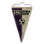 Wimpel Austria Salzburg, TSV