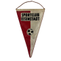 Wimpel SC Eisenstadt (AUT)