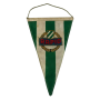 Wimpel Rapid Wien (AUT)