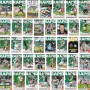 Konvolut Programme Rapid Wien, 190 Stück!