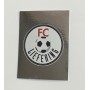 Panini Sticker FC Liefering, Bundesliga Österreich