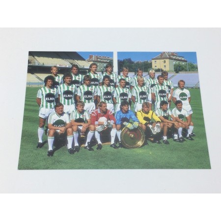 Teambild Rapid Wien, 80er Jahre