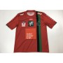 Trikot Wacker Innsbruck (AUT), Large, HIRSCHHOFER 11