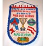 copy of Museum Wimpel Rapid Wien - PSG, Finale 1996