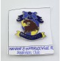 Pin Havant & Waterlooville FC, Supporters (ENG)