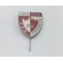 Pin FK Trenčín (SVK)