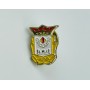 Pin CD Olmpic de Xtiva (ESP)