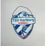 Wimpel TSV Hartberg (AUT)