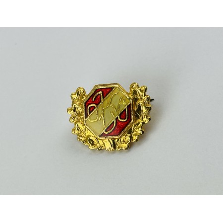 Pin aus Österreich, Verein unbekannt (AUT)