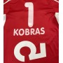 Trikot SCR Altach (AUT), Large, KOBRAS 1