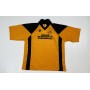 Trikot Alloa Athletic FC (SCO), XL