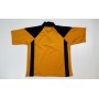 Trikot Alloa Athletic FC (SCO), XL