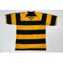 Trikot Alloa Athletic FC (SCO), XL