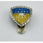 Pin First Vienna FC (AUT)