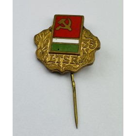 Pin Verein unbekannt