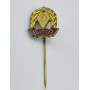 Pin Újpest Budapest (HUN)