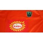 Trikot Wacker Innsbruck (AUT), Medium/Large, BUCHER 10