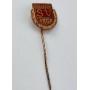 Pin SV 1969 Udenborn (GER)