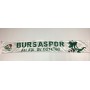 Schal Bursaspor (TUR)