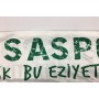 Schal Bursaspor (TUR)