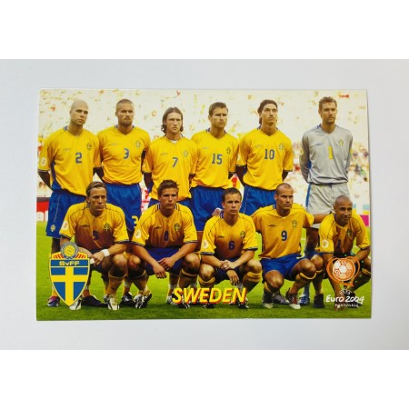 Mannschaftskarte Schweden, Euro 2004