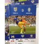 Konvolut Programme FC Parma (ITA), 23 Stück